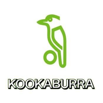 Kookaburra